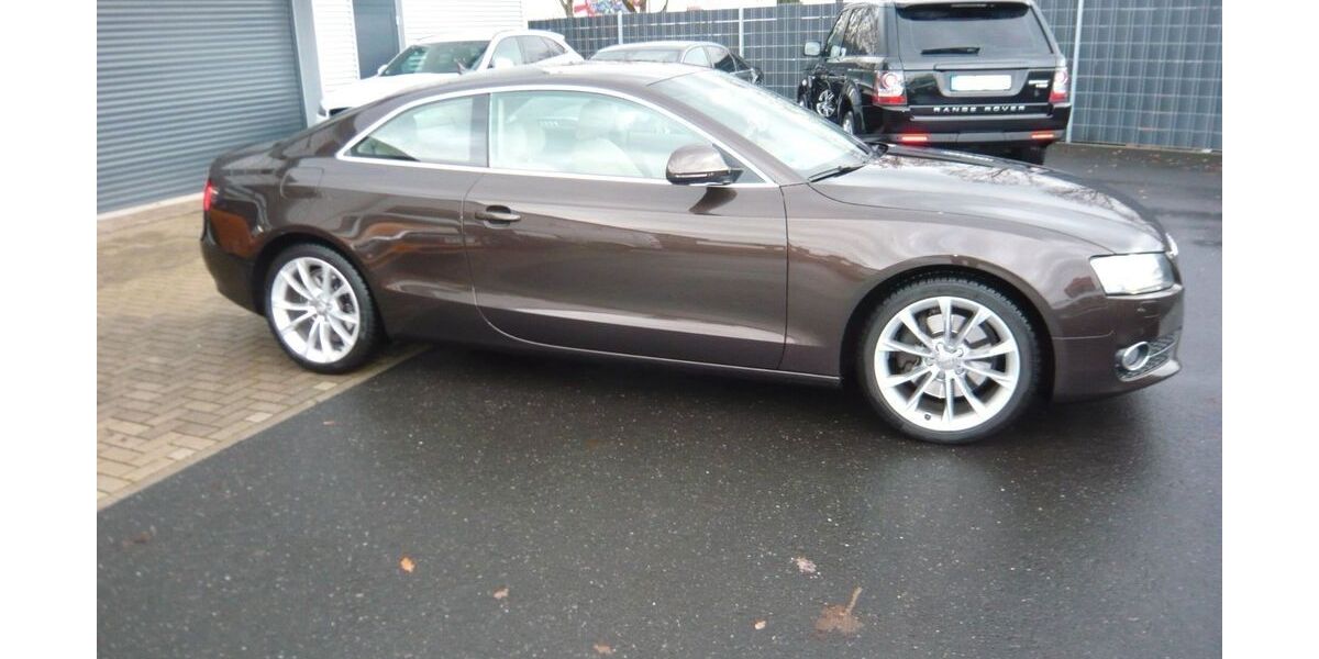 Audi A5 10.000 km 12.500 &euro; Uchte 31600