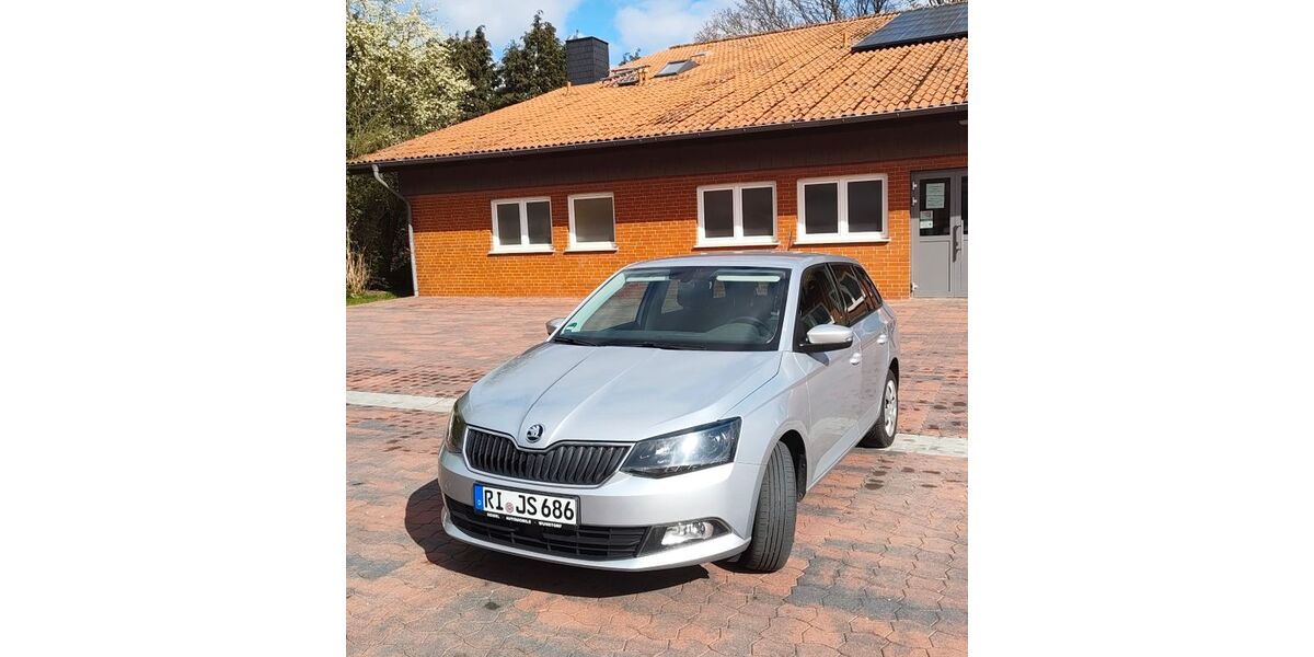 Skoda Fabia 99.300 km 8.800 &euro; Beckedorf 31699