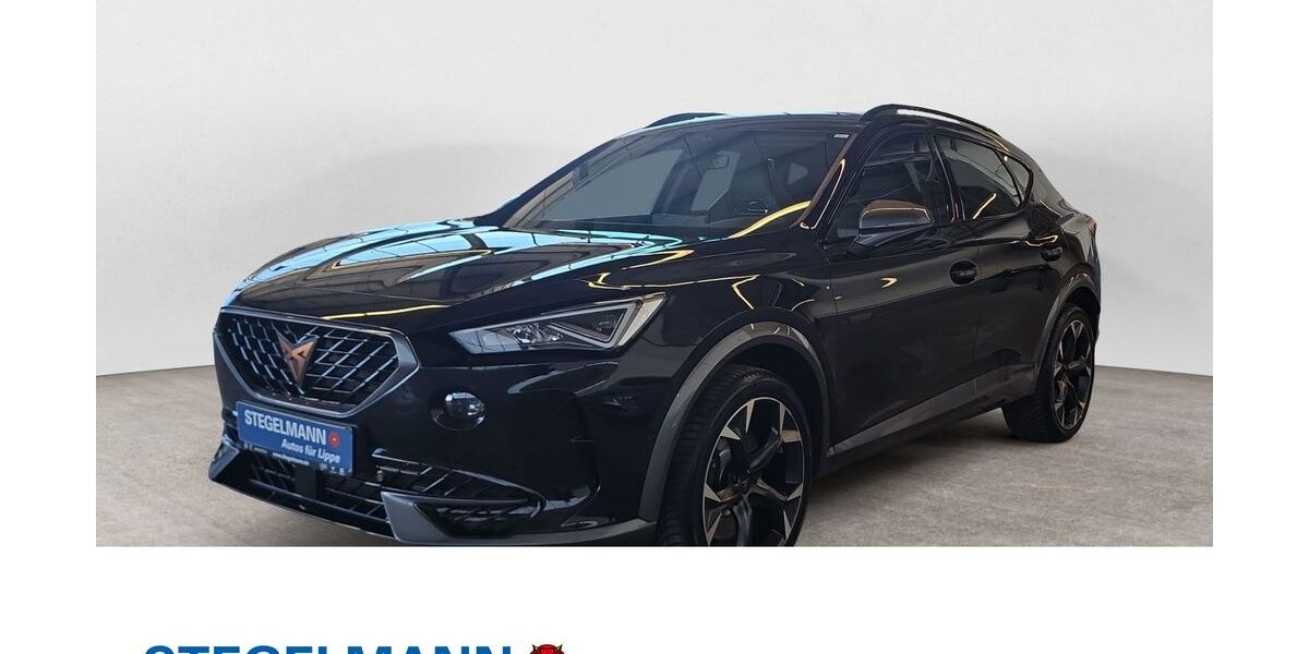 Cupra Formentor 87.909 km 28.410 &euro; Lemgo 32657