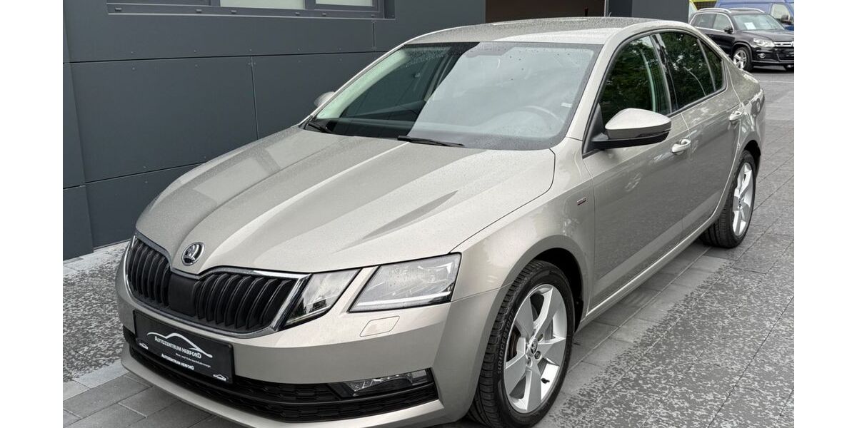 Skoda Octavia 83.000 km 17.999 &euro; Herford 32051