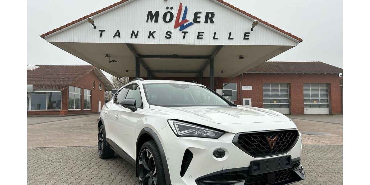Cupra Formentor 52.835 km 24.875 &euro; Lüdersfeld 31702