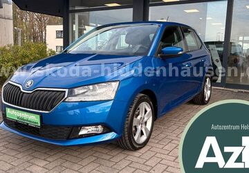 Skoda Fabia 47.921 km 10.790 &euro; Hiddenhausen 32120