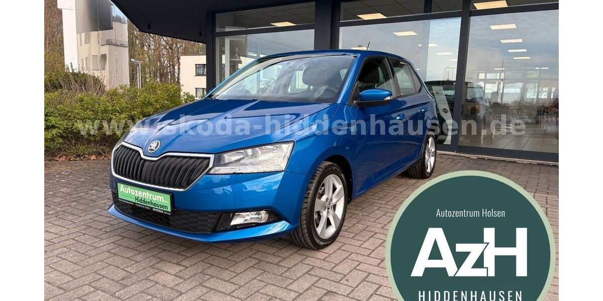Skoda Fabia 47.921 km 10.790 &euro; Hiddenhausen 32120