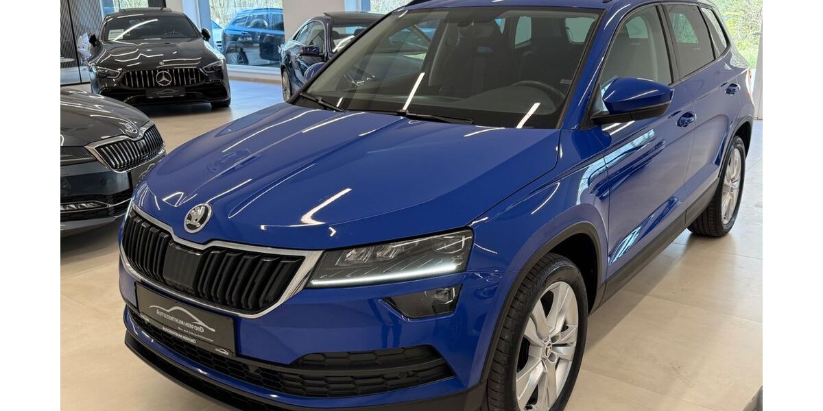 Skoda Karoq 220.000 km 16.500 &euro; Herford 32051