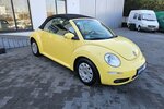 VW New Beetle 1.9 TDI United Sport AUS 1.HAND 255.857 km 3.990 &euro; Löhne 32584